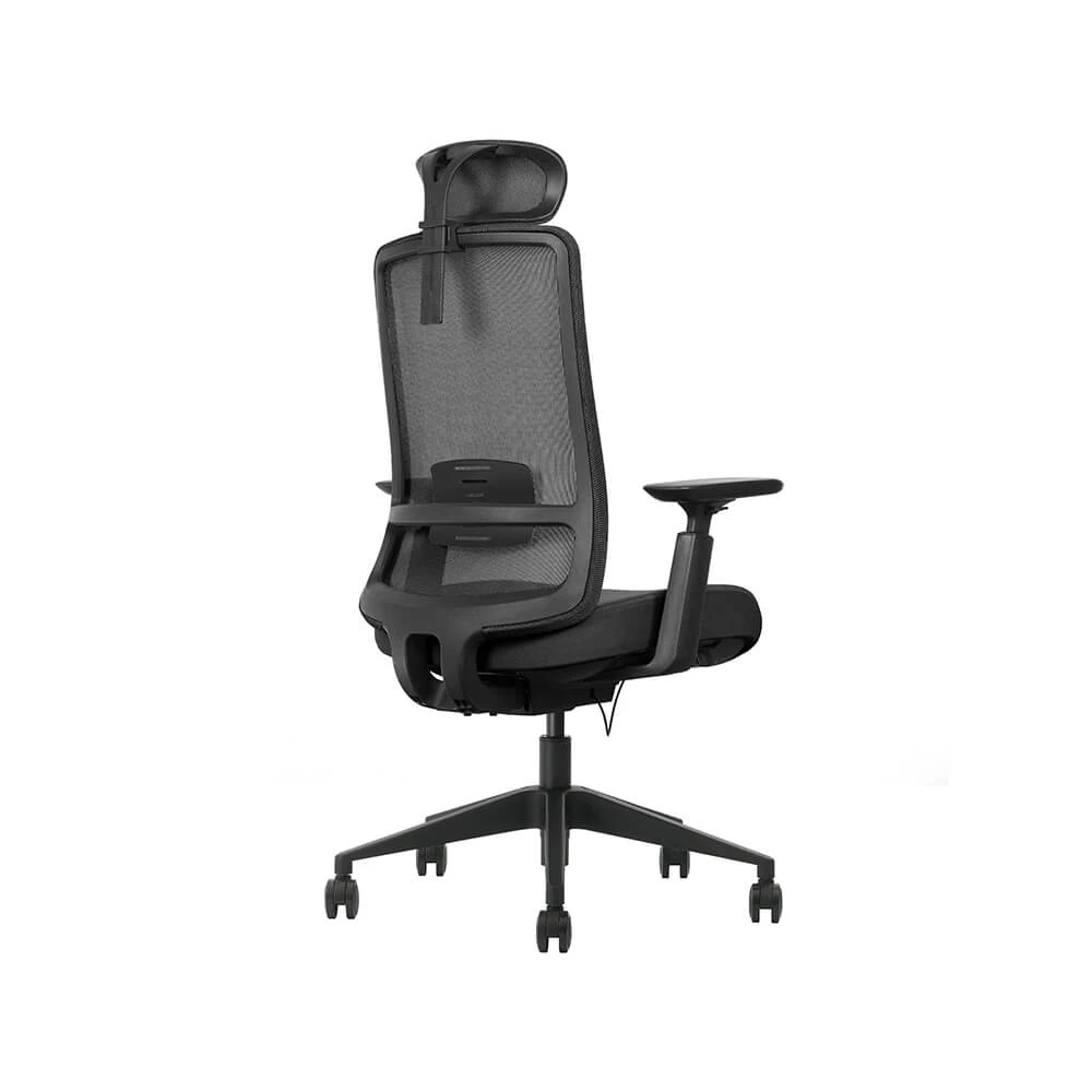 ergonomischer_bürostuhl_aero_flex_schwarz_seite_hinten