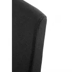 ergonomischer_buerostuhl_ergo_core_schwarz_detail_ruecken Ergonomischer Bürostuhl Ergo Core in Schwarz mit Kunststoff Gestell, ergonomischer Schreibtischstuhl fürs Büro und Homeoffice, Detailansicht Rückenlehne Stoff