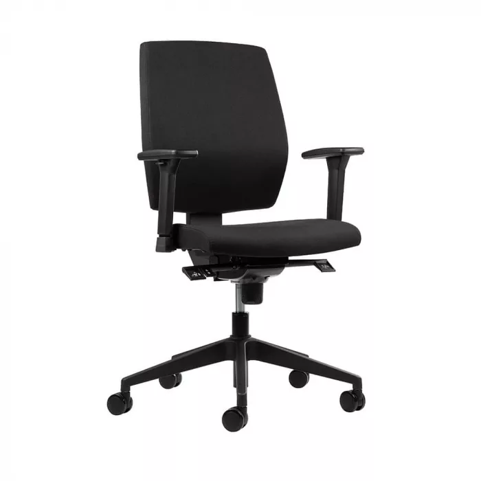 Ergonomischer Bürostuhl Ergo Core in Schwarz mit Kunststoff Gestell, ergonomischer Schreibtischstuhl fürs Büro und Homeoffice, Ansicht vorne seitlich